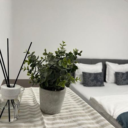 The N Apartment Kluż-Napoka Zewnętrze zdjęcie