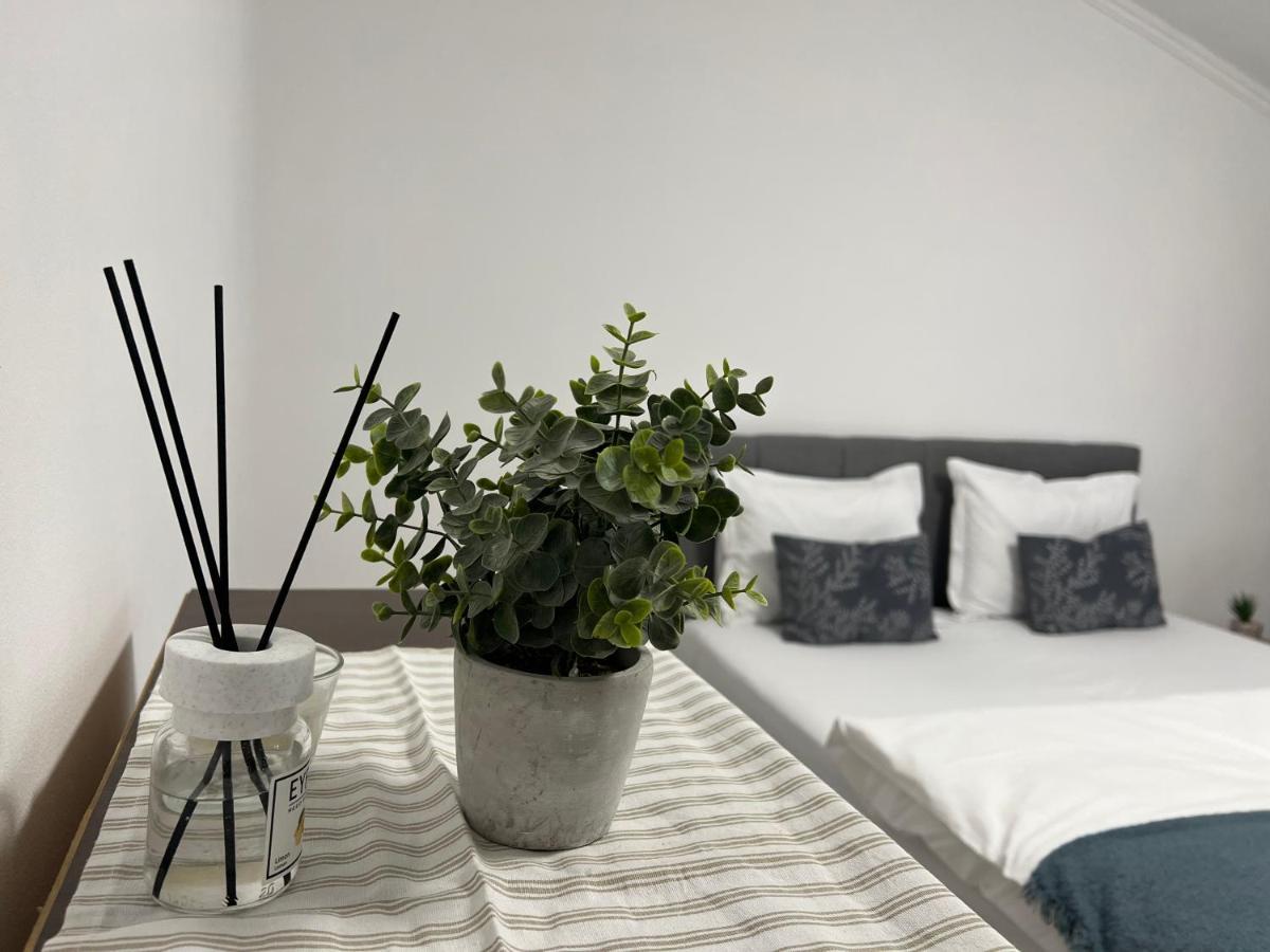 The N Apartment Kluż-Napoka Zewnętrze zdjęcie